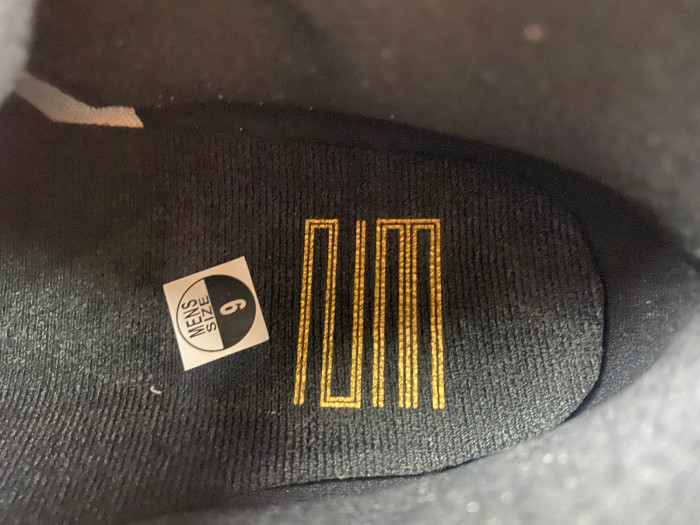 AIR JORDAN 11 “DMP” Gratitude CT8012-170