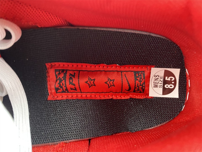Nike SB Dunk Low LPL League of Legends DO2327-011